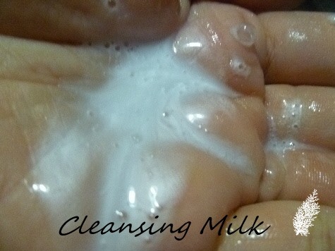 cleanser