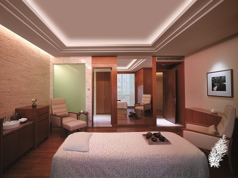 Essa Spa Single Treatment Room
