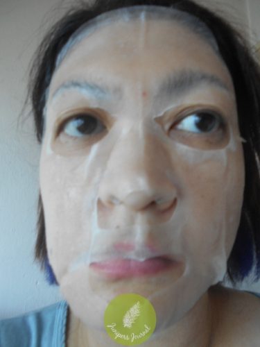 dr-morita-snail-repair-essence-facial-mask-guardian