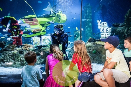 SEA Life Malaysia Aquarium features workshops and activities that are educational for all guests