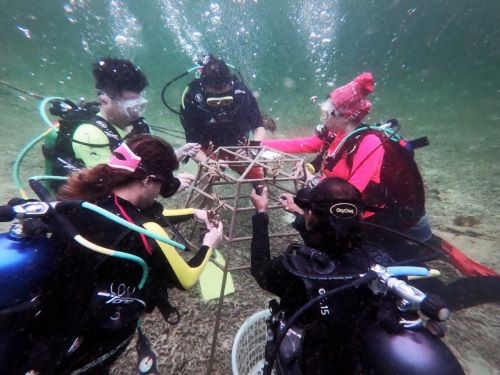 To help preserve the coral reef ecosystem, the Auto Bavaria team and Lions Club members also planted artificial reefs at the marine park in Pulau Redang