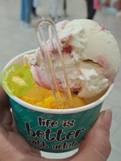 Wildberry yogurt & mango sorbet