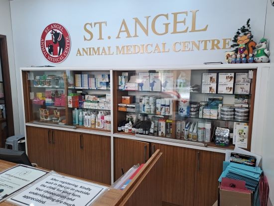 St. Angel Animal Medical Centre reception