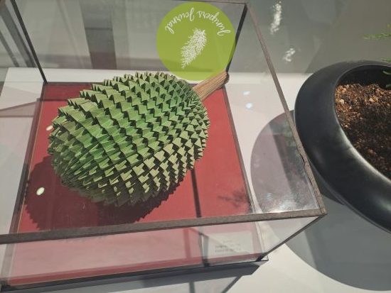 Origami durian very realistic