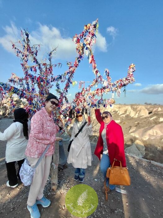 Day 3 of ikhlas.com 7D/5N Tour To Turkey: Pigeon Valley