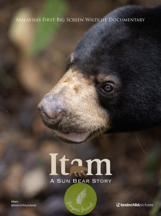 Bask Bear Coffee & Toasties Sponsors Itam: A Sun Bear Story