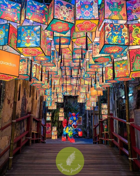 Kwai Chai Hong Celebrates Chinese New Year 2026 With Guardians Of Legacy Honouring Protection, Care, And Generational Bonds