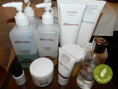 Elemis Mini Facial