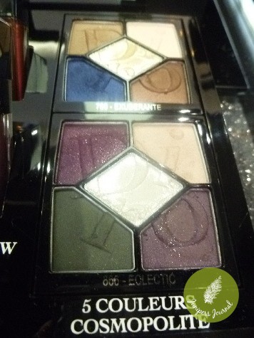 Dior Cosmopolite Fall Winter 2015 Collection