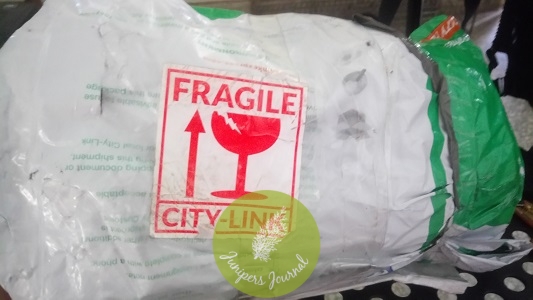 After 11 Days Finally Received Parcel But So Torn And Tattered