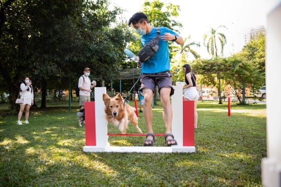 Royal Canin’s “Paws Day Out” 2022 A Re-hound-ing Success