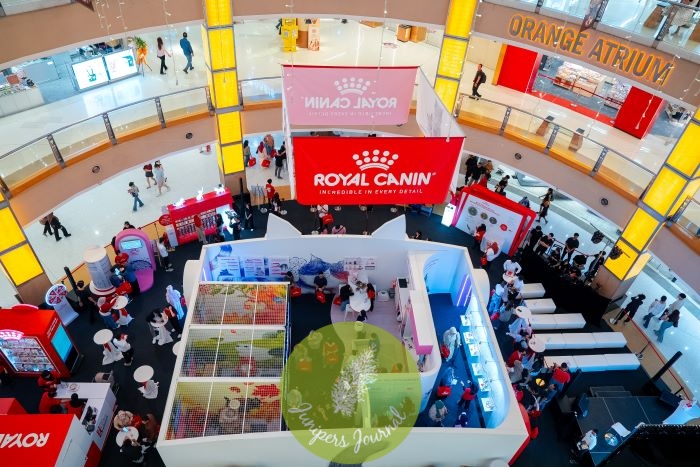 Purrever Healthy: Royal Canin Launches Its First Event In Malaysia At Sunway Pyramid