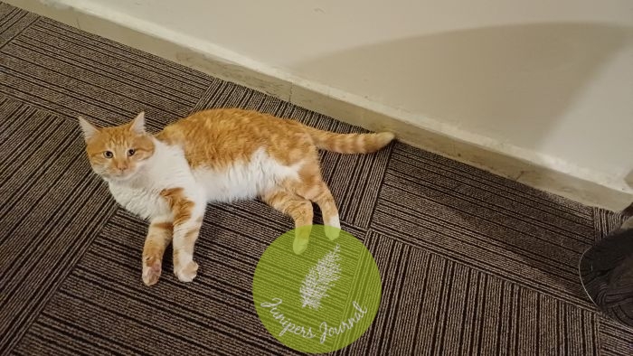 Day 3 ikhlas.com 7D/5N Tour To Turkey: Çardak Underground City In Cappadocia