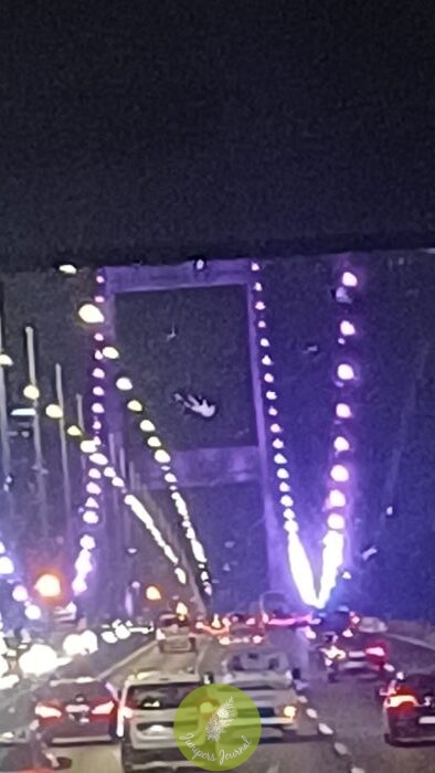 Day 4 Of ikhlas.com 7D/5N Tour To Turkey: Dinner In Istanbul