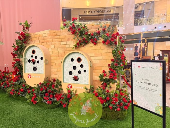 CHAGEE And The Little Prince: A Collaboration Made With Heart